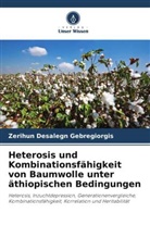 Zerihun Desalegn Gebregiorgis - Heterosis und Kombinationsfähigkeit von Baumwolle unter äthiopischen Bedingungen