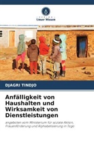 Djagri Tindjo - Anfälligkeit von Haushalten und Wirksamkeit von Dienstleistungen