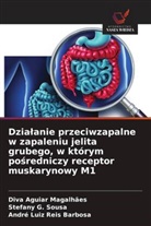 Diva Aguiar Magalhães, André Luiz Reis Barbosa, Stefany G. Sousa - Dzialanie przeciwzapalne w zapaleniu jelita grubego, w którym posredniczy receptor muskarynowy M1