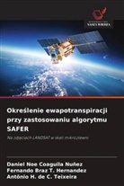 Antônio H. de C. Teixeira, Daniel Noe Coaguila Nuñez, Fernando Braz T. Hernandez - Okreslenie ewapotranspiracji przy zastosowaniu algorytmu SAFER