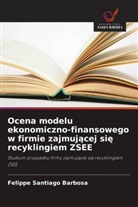 Felippe Santiago Barbosa - Ocena modelu ekonomiczno-finansowego w firmie zajmujacej sie recyklingiem ZSEE