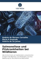 Maria A Andrade, Andréa de Moraes Carvalho, Jaime, Valéria de Sá Jaime - Salmonellose und Pilzkrankheiten bei Wildtieren