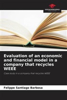 Felippe Santiago Barbosa - Evaluation of an economic and financial model in a company that recycles WEEE