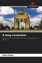 Fábio Baião - A long revolution