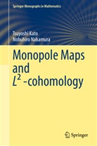 Tsuyoshi Kato, Nobuhiro Nakamura - Monopole Maps and L² -cohomology