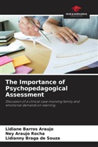 Ney Araujo Rocha, Lidiane Barros Araujo, Lidianny Braga de Souza - The Importance of Psychopedagogical Assessment