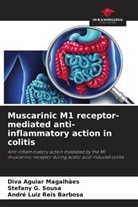 Diva Aguiar Magalhães, André Luiz Reis Barbosa, Stefany G. Sousa - Muscarinic M1 receptor-mediated anti-inflammatory action in colitis