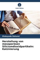 Olukayode Dahunsi - Herstellung von mesoporösen Siliciumdioxidpartikeln: Kalzinierung
