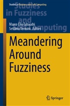 Marco Elio Tabacchi, Settimo Termini - Meandering Around Fuzziness