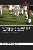 Raymundo Pires Junior - Participation in sport and level of physical activity
