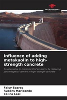 Celina Leal, Rubens Maribondo, Faisy Soares - Influence of adding metakaolin to high-strength concrete