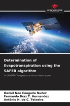 Antônio H. de C. Teixeira, Daniel Noe Coaguila Nuñez, Fernando Braz T. Hernandez - Determination of Evapotranspiration using the SAFER algorithm