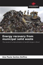 Ana Paula Santos Delfino - Energy recovery from municipal solid waste