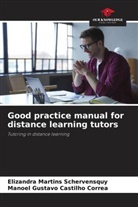 Manoel Gustavo Castilho Correa, Elizandra Martins Schervensquy - Good practice manual for distance learning tutors