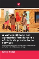 DJAGRI TINDJO - A vulnerabilidade dos agregados familiares e a eficácia da prestação de serviços