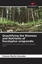 Simone Martini Salvador - Quantifying the Biomass and Nutrients of Eucalyptus urograndis