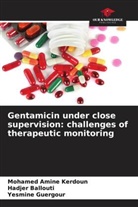 Hadjer Ballouti, Yesmine Guergour, Mohamed Amine Kerdoun - Gentamicin under close supervision: challenges of therapeutic monitoring