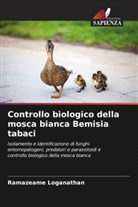 Ramazeame Loganathan - Controllo biologico della mosca bianca Bemisia tabaci