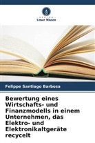 Felippe Santiago Barbosa - Bewertung eines Wirtschafts- und Finanzmodells in einem Unternehmen, das Elektro- und Elektronikaltgeräte recycelt