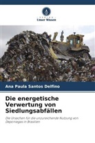 Ana Paula Santos Delfino - Die energetische Verwertung von Siedlungsabfällen