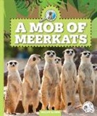 Kelley Barth - A Mob of Meerkats
