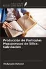 Olukayode Dahunsi - Producción de Partículas Mesoporosas de Sílice: Calcinación