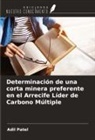Adil Patel - Determinación de una corta minera preferente en el Arrecife Líder de Carbono Múltiple