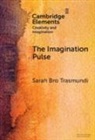 Sarah Bro Trasmundi, Sarah Bro (University of Southern Denma Trasmundi - Imagination Pulse