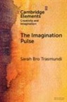 Sarah Bro Trasmundi, Sarah Bro (University of Southern Denma Trasmundi - Imagination Pulse