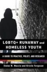 Kristin Ferguson, Elaine M. Maccio - LGBTQ+ Runaway and Homeless Youth