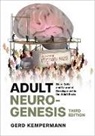 Prof. Dr. Gerd Kempermann, Kempermann Gerd - Adult Neurogenesis