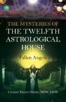 Carmen Turner-Schott MSW LISW - Mysteries of the Twelfth Astrological House, The: Fallen Angels