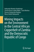 Cé Banza Lubaba Nkulu, Célestin Banza Lubaba Nkulu, Ambayeba Muimba-Kankolongo, Florence Kampemba Mujinga, Nabuyanda Misery Mulele, Jacob Mwitwa... - Mining Impacts on the Environment in the Central African Copperbelt of Zambia and the Democratic Republic of Congo