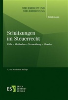 Michael Brinkmann, Michael (Dipl.-Finanzwirt) Brinkmann - Schätzungen im Steuerrecht