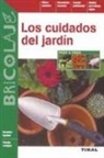 Artemisia - Los cuidados del jardín