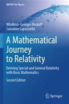 Wladimir-Georges Boskoff, Salvatore Capozziello - A Mathematical Journey to Relativity