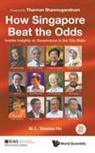 Terence Wai Luen Ho - How Singapore Beat The Odds: Insider Insights On Governance In The City-state
