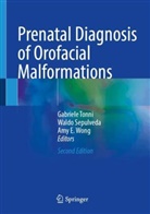 Amy E Wong, Waldo Sepulveda, Gabriele Tonni, Amy E. Wong - Prenatal Diagnosis of Orofacial Malformations