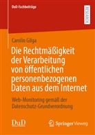 Carolin Gilga - Die Rechtmäßigkeit der Verarbeitung von öffentlichen personenbezogenen Daten aus dem Internet