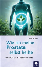 Josef A Moll, Josef A. Moll - Wie ich meine Prostata selbst heilte