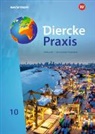 Ruwen Bubel, Michael Ernst, Thomas Krämer, Bubel, Michael Ernst - Diercke Praxis SI Erdkunde - Arbeits- und Lernbuch