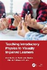 Marcio Velloso da Silveira, Marcio Velloso Dos Santos Da Silveira, Antonio Carlos Fontes dos Santos, Antônio Carlos Fontes dos Santos - Teaching Introductory Physics to Visually Impaired Learners