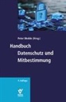 Stefan Brink, Isabel Eder, Nadja Häfner-Beil, Nadja u a Häfner-Beil, Heinz-Peter Höller, Silvia Mittländer... - Handbuch Datenschutz und Mitbestimmung