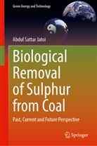 Abdul Sattar Jatoi - Biological Removal of Sulphur from Coal