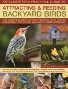 Jen Green - Backyard Birds III: Practical Guide to Attracting and Feeding