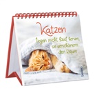 Katzen liegen nicht nur faul herum, sie verschönern den Raum