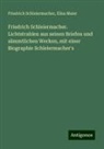 Elisa Maier, Friedrich Schleiermacher - Friedrich Schleiermacher. Lichtstrahlen aus seinen Briefen und sämmtlichen Werken, mit einer Biographie Schleiermacher's