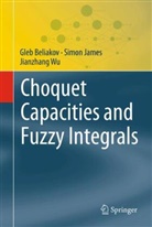 Gleb Beliakov, Simon James, Jianzhang Wu - Choquet Capacities and Fuzzy Integrals