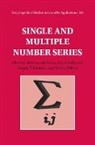 Alberto Debernardi Pinos, Liflyand Elijah, Tikhonov Sergey, Maria Zeltser - Single and Multiple Number Series