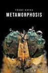 Franz Kafka - Metamorphosis